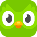 듀오링고(Duolingo) 앱 아이콘